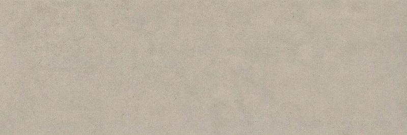 Palmeto Gris Concrete Effect ceramic wall tile  900 x 300 x 10mm x 4 = 1.08m2